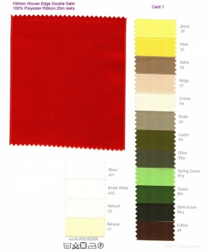 Shade range B100 - 100mm Woven edge double satin ribbon