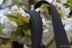25mm Woven Gripper elastic 100m